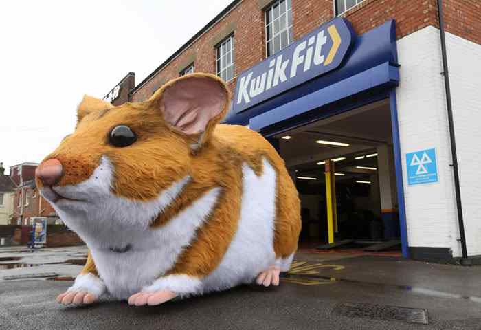 Giant hamster in Kwik Fit