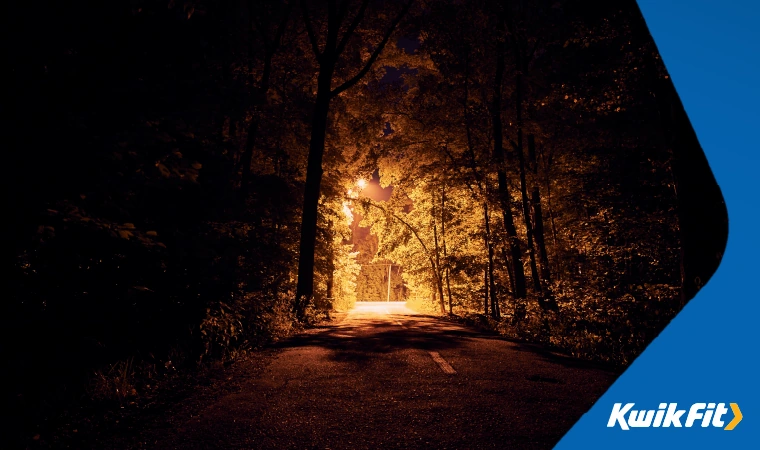 Dark road covered by trees either side with a bright light from a lamppost at the end of the road.