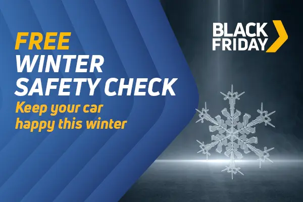 Free Winter Check